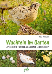 Abbildung von: Wachteln im Garten - pala