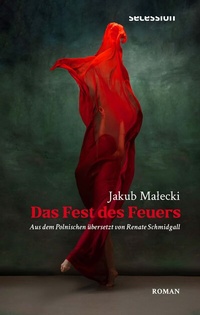 Abbildung von: Das Fest des Feuers - Secession Verlag Berlin