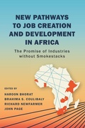 Cover: New Pathways to Job Creation and Development in Africa - Brookings Institution