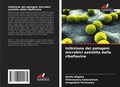 Cover: Inibizione dei patogeni microbici assistita dalla riboflavina - Edizioni Sapienza