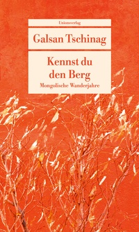 Abbildung von: Kennst du den Berg - Unionsverlag