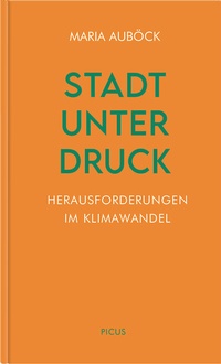 Abbildung von: Stadt unter Druck - Picus Verlag