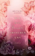 Cover: Wie das Feuer zwischen uns - LYX