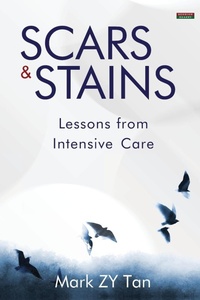 Abbildung von: Scars & Stains - Bennion Kearny Limited