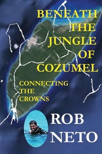 Abbildung von: Beneath the Jungle of Cozumel - Chipola Publishing LLC