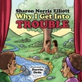 Cover: Why I Get Into Trouble - Abundance Books LLC