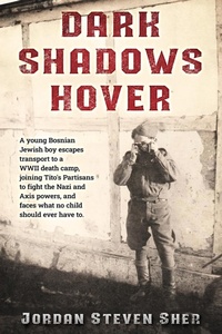 Enlarge image Cover: Dark Shadows Hover - Amsterdam Publishers