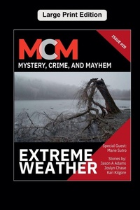 Enlarge image Cover: Extreme Weather - Knotted Road Press