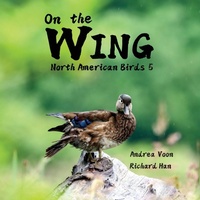 Abbildung von: On the Wing - North American Birds 5 - Hei Greenhouse Studio