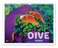 Abbildung von: Dive 2026 - Delius Klasing