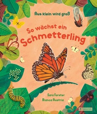 Abbildung von: Aus klein wird groß. So wächst ein Schmetterling - Prestel