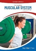 Cover: The Human Muscular System - Brightpoint Press