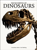 Cover: Encyclopedia of Dinosaurs - Amber Books