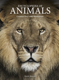 Enlarge image Cover: Encyclopedia of Animals - Amber Books