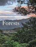 Cover: Forests - Amber Books