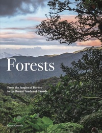 Enlarge image Cover: Forests - Amber Books