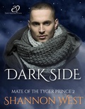 Cover: Dark Side - darkhollowspress