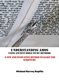 Cover: Understanding Amos - Michael Koplitz