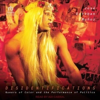 Enlarge image Cover: Disidentifications - Tantor Audio