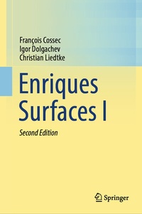 Abbildung von: Enriques Surfaces I - Springer