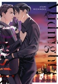 Cover: Midnight Drastic - Hayabusa