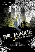 Cover: Dr. Junkie - Berlin im Rausch - mainbook Verlag