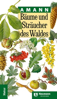 Abbildung von: Bäume und Sträucher des Waldes - J. Neumann-Neudamm Melsungen