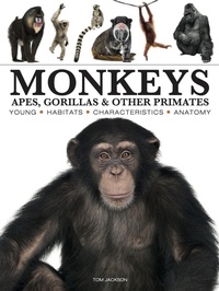 Enlarge image Cover: Monkeys - Amber Books