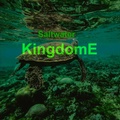 Cover: Saltwater KingdomE - BeUpOne aQueena
