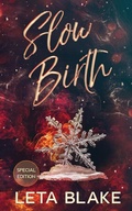 Cover: Slow Birth - Leta Blake Books