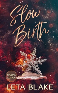 Enlarge image Cover: Slow Birth - Leta Blake Books