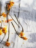 Cover: Covid Diary - Fall Line Press