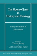 Cover: The Figure of Jesus in History and Theology - Pickwick Publications
