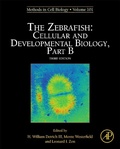 Cover: The Zebrafish: Cellular and Developmental Biology, Part B - Academic Press