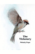 Cover: The Visionary - Melody Hope