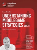 Cover: Understanding Middlegame Strategies Vol. 11 - ChessBase GmbH