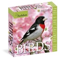 Cover: Audubon Birds Page-A-Day (R) Calendar 2026 - Workman Calenders