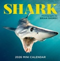 Cover: Shark Mini Wall Calendar 2026 - Workman Calenders