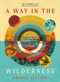 Enlarge image Cover: A Way in the Wilderness - IVP Bible Studios