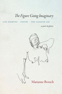 Abbildung von: The Figure Going Imaginary - Copper Canyon Press