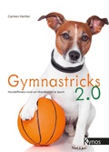 Cover: Gymnastricks 2.0 - Kynos