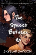 Cover: The Spaces Between Us - Skyelar Dawson
