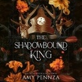 Cover: The Shadowbound King - DREAMSCAPE MEDIA