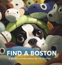 Enlarge image Cover: Find a Boston - Gatekeeper Press