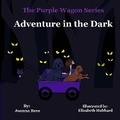 Cover: Adventure in the Dark - Joanna Bess