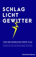Cover: Schlaglichtgewitter - Ventura Verlag