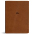 Cover: CSB Women's Study Bible, Saddle Brown Genuine Leather - Holman Bible Publishers