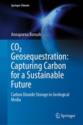 Cover: CO&sup2; Geosequestration: Capturing Carbon for a Sustainable Future - Springer