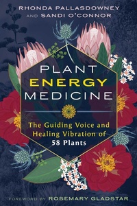 Bild: Plant Energy Medicine - Simon + Schuster LLC
