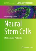 Bild: Neural Stem Cells - Humana